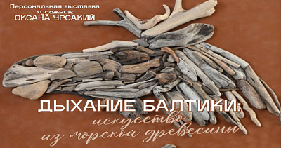 Дыхание Балтики: искусство из морской древесины (6+)
