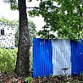IMG_4052.JPG