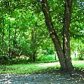 565A9339-1.jpg