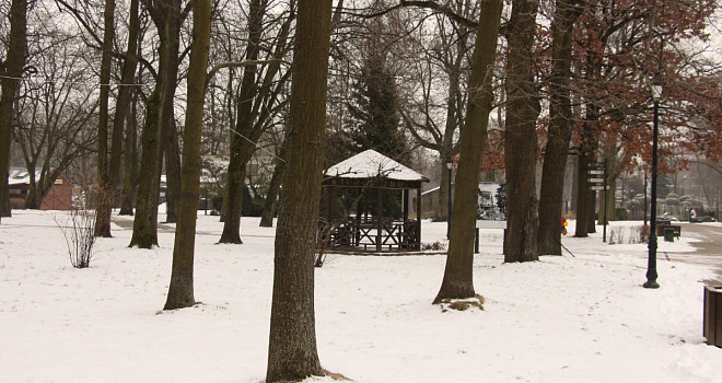 25 февраля Калининградский зоопарк приглашает всех на экскурсию "Эстетика зимнего дерева"