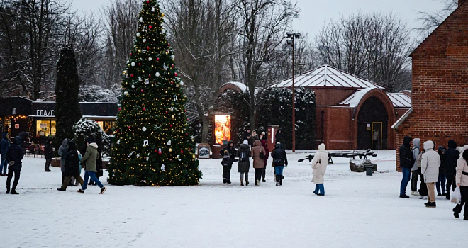«Финал у Кафедрального собора»: чем закончатся новогодние праздники в Калининграде
