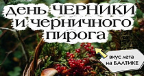День черники и черничного пирога (0+)