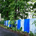 IMG_4051.JPG