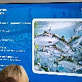 P1090531.jpg