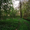 565A8823.JPG