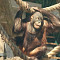4 июня в воскресенье Калининградский зоопарк приглашает на очередную экскурсию из цикла «Другой зоопарк»