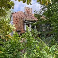 IMG_2545.JPG