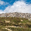 P1100484.jpg