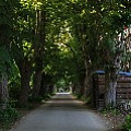 565A0044.JPG