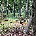 IMG_0282.JPG