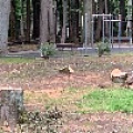 IMG_0320.JPG