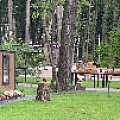 IMG_0244.JPG