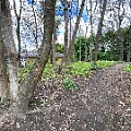IMG_2308.JPG