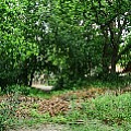 565A9730.JPG