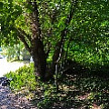 565A9346-1.jpg