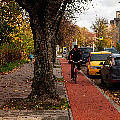P1010605_судостроительная,балтрайон,велодорожка,пешеходная дорожка,ремонт улицы,велосипедист,парковка.jpg