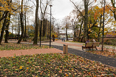 «Проредили Каштановый парк»