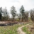 P2030903.jpg