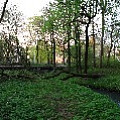 565A8837.JPG