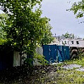IMG_4039.JPG