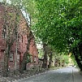 IMG_3525.jpg