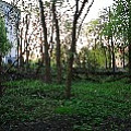 565A8831.JPG