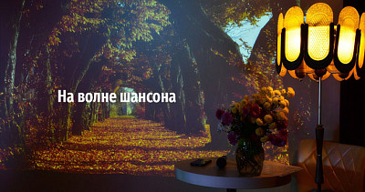 На волне шансона (12+)