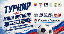 Турнир по мини-футболу среди ТОС (0+)