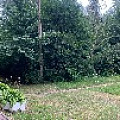 IMG_5366 янтарный, общепит, козорезов (1).JPG