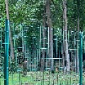 IMG_0267.JPG