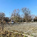 565A8466.JPG