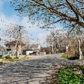 P2030940.jpg