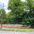 IMG_2550.JPG