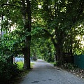 565A0124.JPG