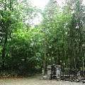 565A9757.JPG