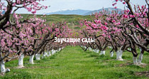 Звучащие сады (6+)