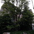 IMG_0801.JPG