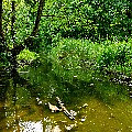 P1070309.jpg