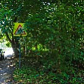 565A9340-1.jpg