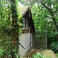 565A9655.JPG