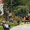 IMG_3046 вырубка Фрунзе.jpg