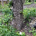 IMG_2311.JPG