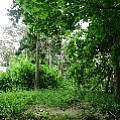 565A9725.JPG