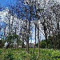 IMG_2294.JPG