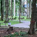 IMG_0240.JPG