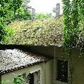 565A9654.JPG