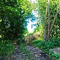 565A9350-1.jpg