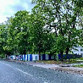 IMG_4099.JPG