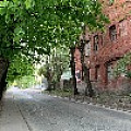 IMG_3523.jpg