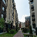 P1080831.jpg